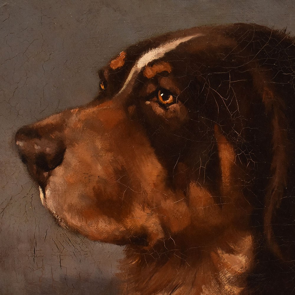 QA633 1 antique oil painting dogs portraits painting XIX century.jpg